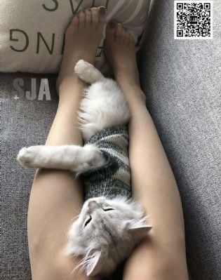 夫夫调教双性h_剧情片韩国电影在线观看